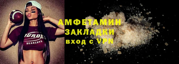 гидра Ельня
