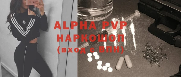гидра Ельня
