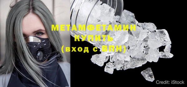 гидра Ельня