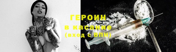 гидра Ельня