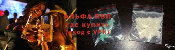 гидра Ельня