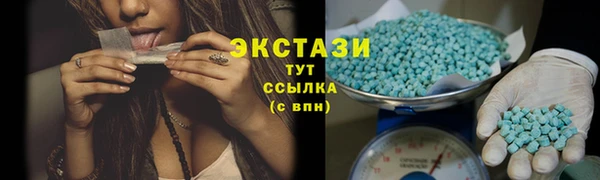 гидра Ельня
