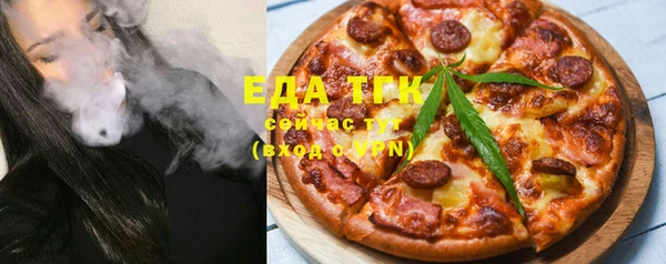 гидра Ельня