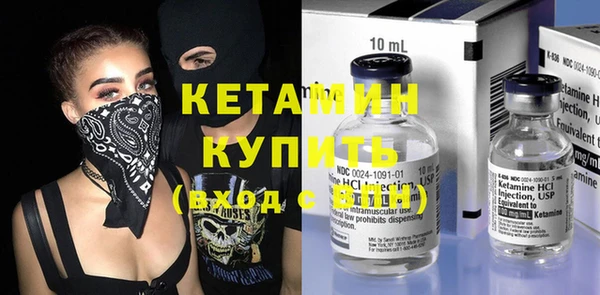 гидра Ельня