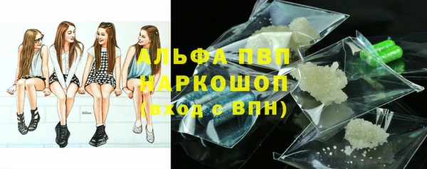 гидра Ельня