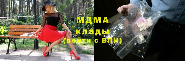 гидра Ельня