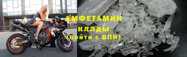 гидра Ельня