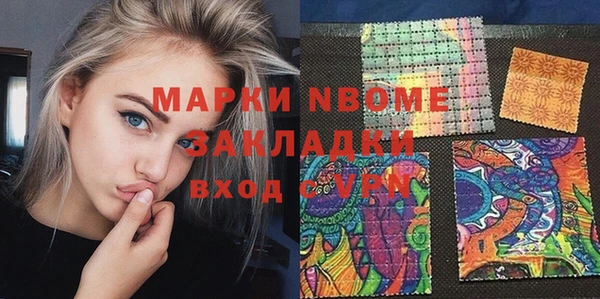 гидра Ельня