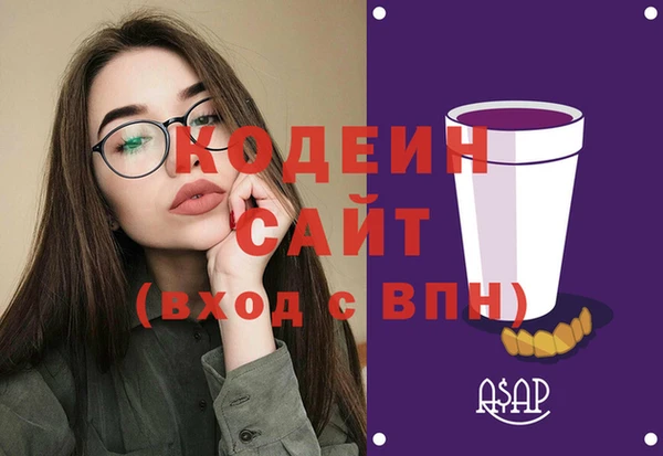 гидра Ельня