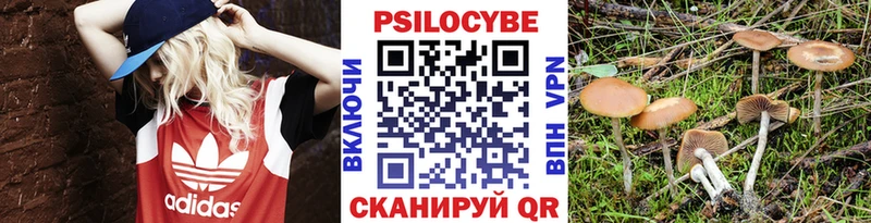 Псилоцибиновые грибы мухоморы сколько стоит Иннополис